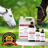 Selvita Equine Horse Animal Supplement