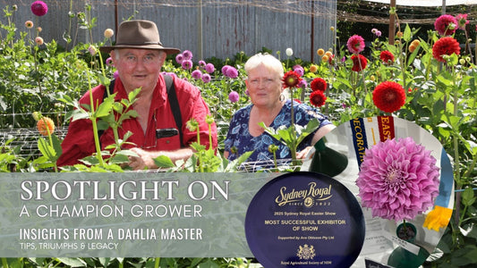 “Our success can be attributed to the support, education and friendship forged with Gerard...”