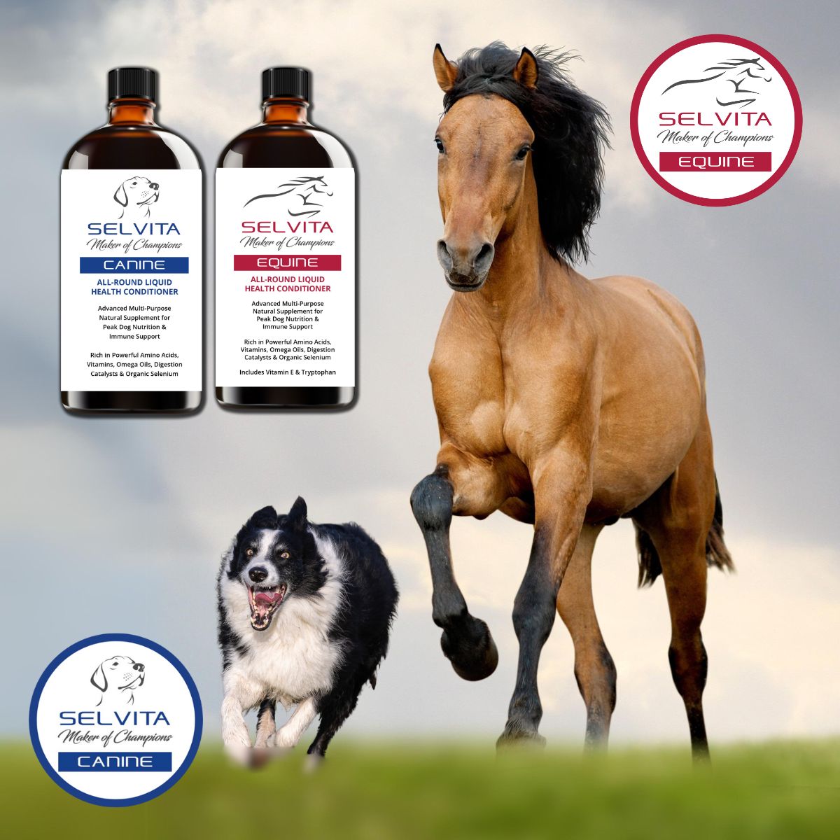 Selvita Animal Supplements - Horse vitamins & minerals, Canine vitamins & minerals, Canine fish oil