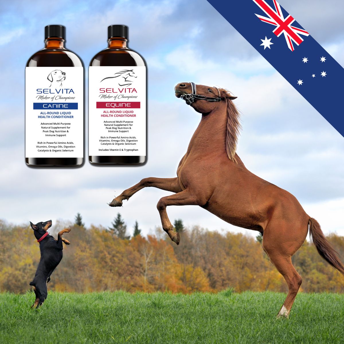 Animal Supplements Australia