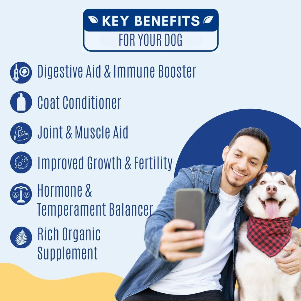 Selvita Canine Key Benefits
