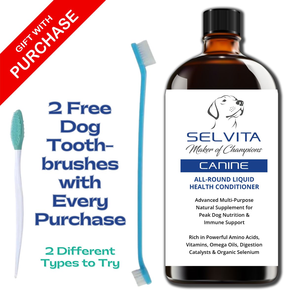 Selvita Canine Supplement