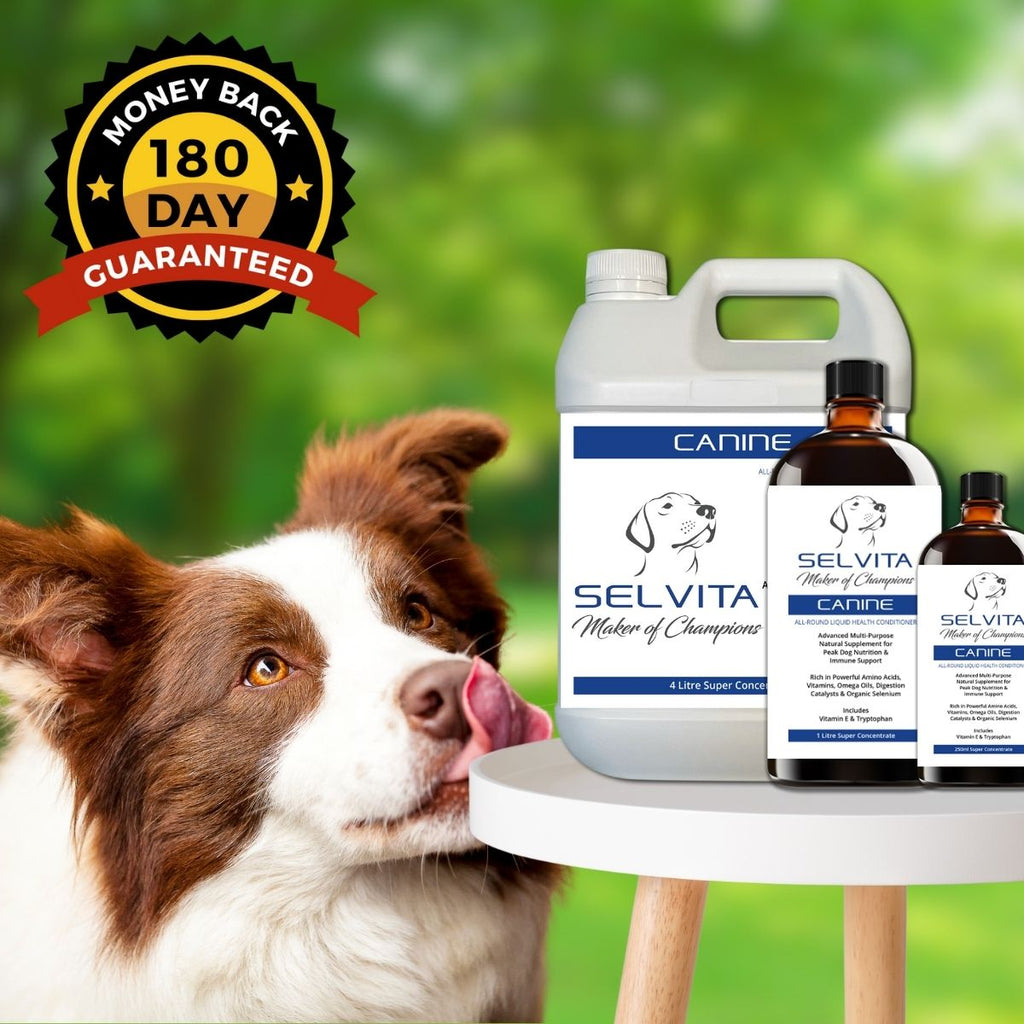 Selvita Canine Dog Animal Supplement