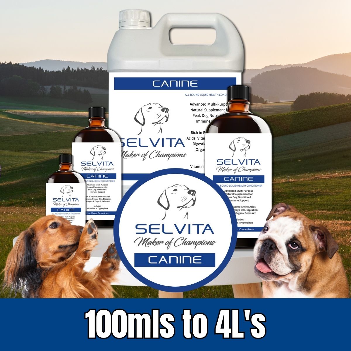 Selvita Canine Dog Product Sizes
