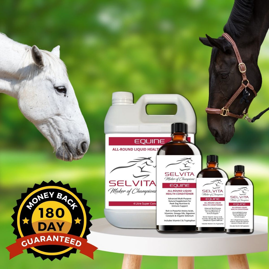 Selvita Equine Horse Product Guarantee 100ML to 4L