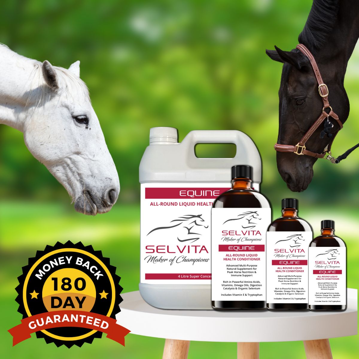 Selvita Equine Supplement