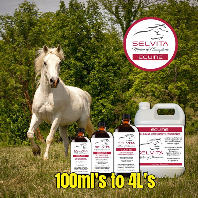 Selvita Equine Supplement