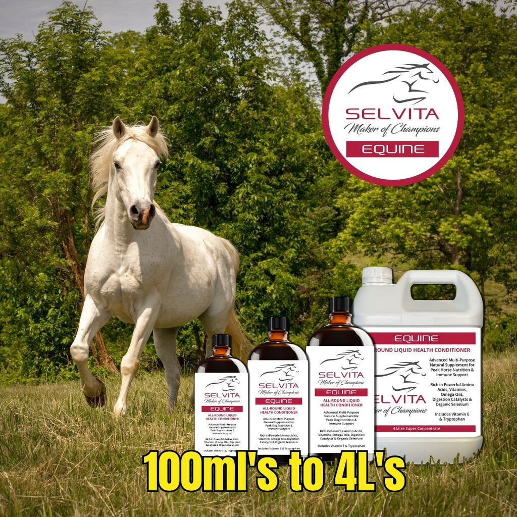 Selvita Equine Product image with Horse
