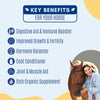 Selvita Equine Key Benefits